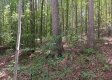Tract 1 - The Caves at Keystone property photo