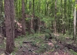 Tract 1 - The Caves at Keystone property photo