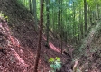 Tract 1 - The Caves at Keystone property photo