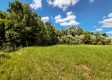Scenic View Cabin property photo