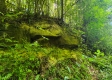 Scenic View Cabin property photo