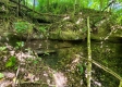 Scenic View Cabin property photo