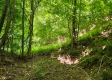 Scenic View Cabin property photo