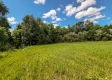 Scenic View Cabin property photo
