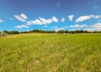 Scenic View Cabin property photo