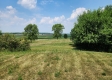 Tract 1 - Walnut Meadows property photo