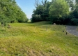 Tract 1 - Walnut Meadows property photo