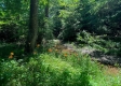 Tract 1 - Walnut Meadows property photo
