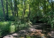 Tract 1 - Walnut Meadows property photo