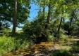 Tract 1 - Walnut Meadows property photo