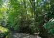 Tract 1 - Walnut Meadows property photo
