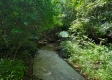 Tract 1 - Walnut Meadows property photo