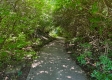 Tract 1 - Walnut Meadows property photo
