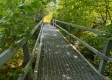 More of Tract 1 - Walnut Meadows