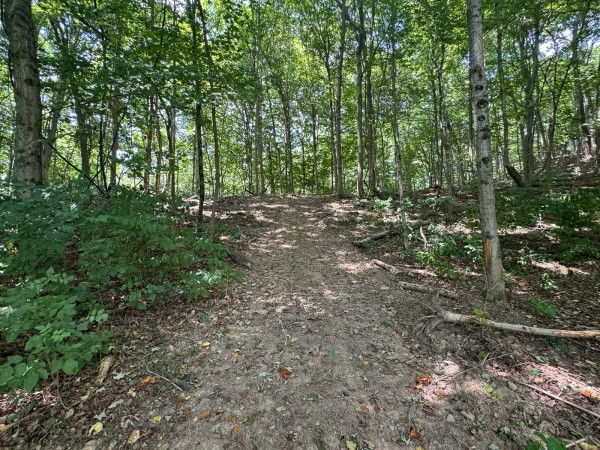 Tract 18 - Albany Woods property photo