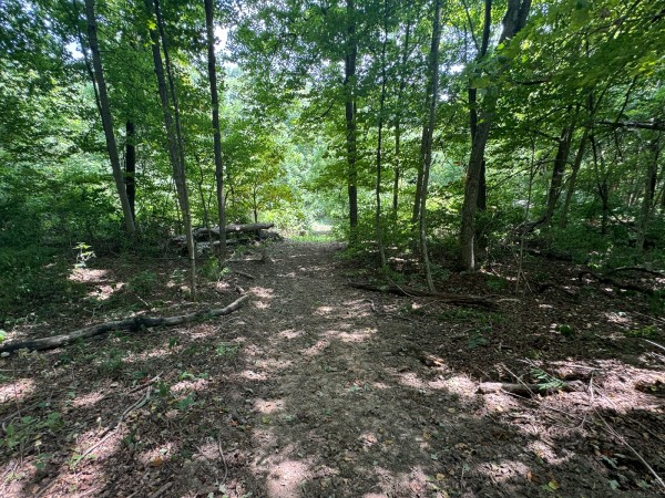 Tract 18 - Albany Woods property photo