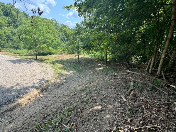 Tract 18 - Albany Woods property photo