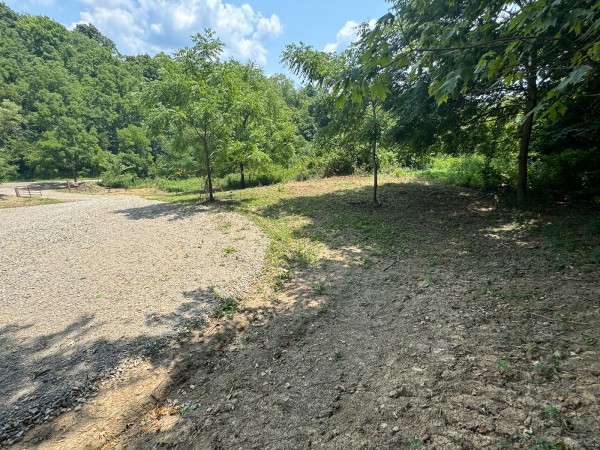 Tract 18 - Albany Woods property photo