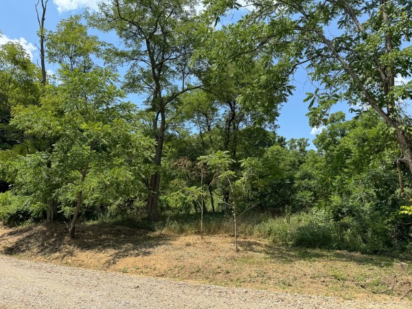 Tract 18 - Albany Woods property photo