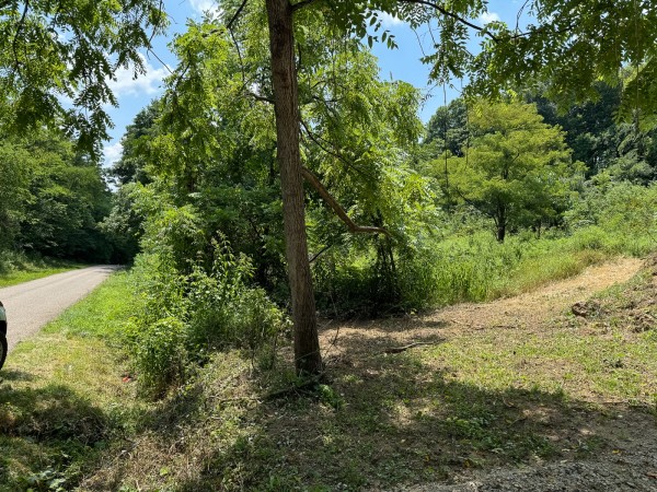 Tract 18 - Albany Woods property photo