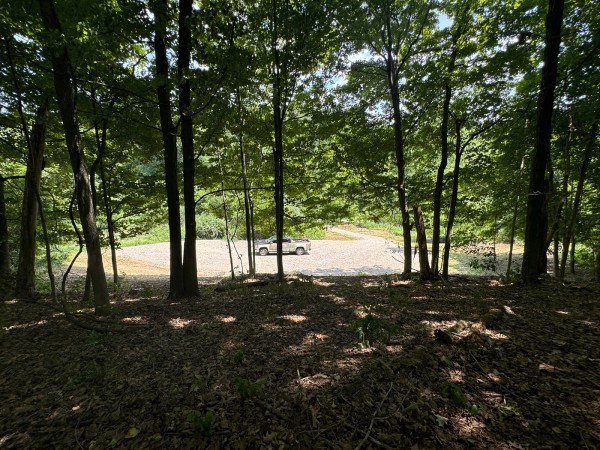 More of Tract 18 - Albany Woods
