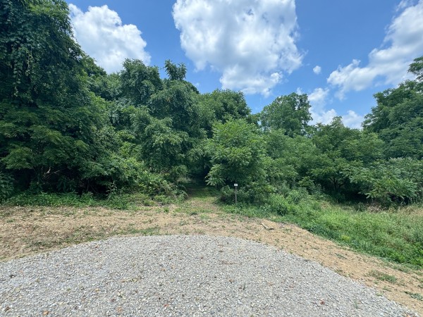 More of Tract 18 - Albany Woods