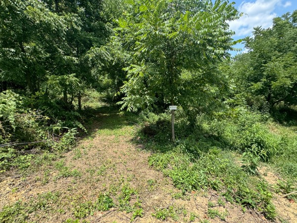 Tract 18 - Albany Woods property photo