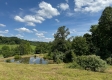 Tract 4 at Albany Woods