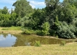 Tract 4 at Albany Woods property photo