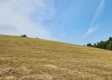 More of Tract 20 at Scenic View