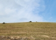 More of Tract 20 at Scenic View