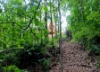 The Cabin at The Caves at Keystone property photo