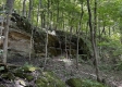 Tract 3 - The Woods at Titus property photo