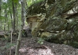 Tract 3 - The Woods at Titus property photo