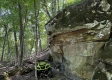 Tract 3 - The Woods at Titus property photo