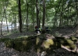 Tract 3 - The Woods at Titus property photo