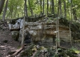 More of Tract 3 - The Woods at Titus
