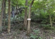 Tract 3 - The Woods at Titus property photo