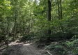 Tract 3 - The Woods at Titus property photo