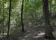Tract 3 - The Woods at Titus property photo