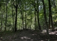 Tract 3 - The Woods at Titus property photo