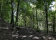 Tract 3 - The Woods at Titus property photo