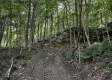 Tract 3 - The Woods at Titus property photo