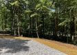 Tract 4 - The Woods at Titus property photo