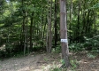 Tract 4 - The Woods at Titus property photo
