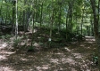 Tract 4 - The Woods at Titus property photo