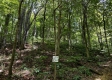 Tract 4 - The Woods at Titus property photo
