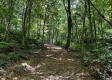 Tract 4 - The Woods at Titus property photo