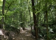 Tract 4 - The Woods at Titus property photo