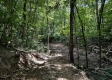 Tract 4 - The Woods at Titus property photo